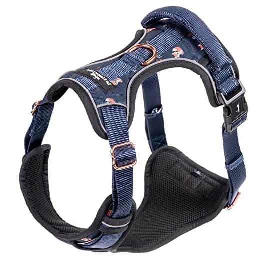 Hondentuig FREUDENTIER - uitzonderlijk elegant en met ademende mesh-vulling - borsttuig voor grote, middelgrote en kleine honden (XL)