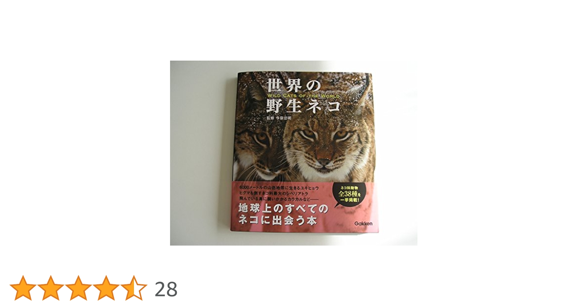 Amazon.co.jp: 世界の野生ネコ : 今泉忠明: 本