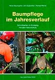  Baumpflege im Jahresverlauf: Schnittzeiten im Einklang mit der Naturschutz