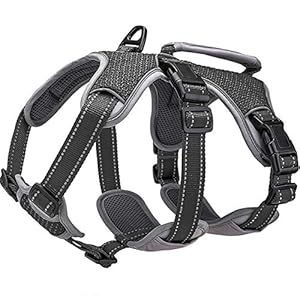 BELPRO Multi-Use Ondersteuning Hondenharnas, Escape Proof Geen Trek Reflecterend Verstelbaar Vest met Duurzaam Handvat, Hondenwandelharnas voor Grote/Actieve Honden (Zwart, M)