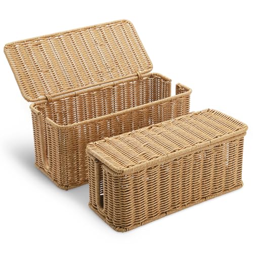 2Pack Large Cable Management Box, Handwoven Imitation Rattan Cord...