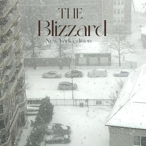 The Blizzard - New York Edition | An Environment Day Special | S3 Ep 2