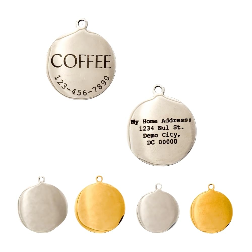 Custom Engraved Pet ID Tag for Cats & Dogs - Personalized Round Address & Name Tags with Phone Number - Durable Metal Pet Collar Tag in Silver and Gold (Small, Silver)