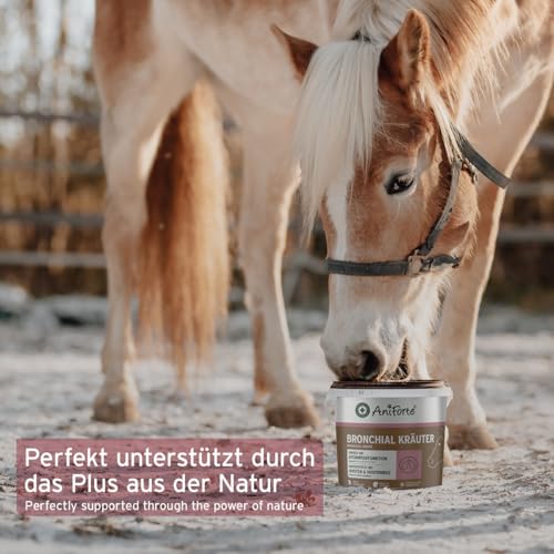 AniForte Bronchialkräuter Pferd 1kg - Natürliche Kräuter mit Methylcystein, bei Husten & Schnupfen, Atemwegskräuter Pferd als Ergänzungsfutter, Pferde Hustenkräuter für freie Atemwege