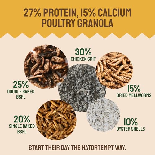 Hatortempt Chicken Feed Grubs Mix - Non-GMO - Protein-Rich Mealworms, Black Soldier Fly Larvae & Oyster Shell - Calcium Grit Treats for Chickens - Egg Layer Feed Supplement (10 lb) - Thumbnail 2