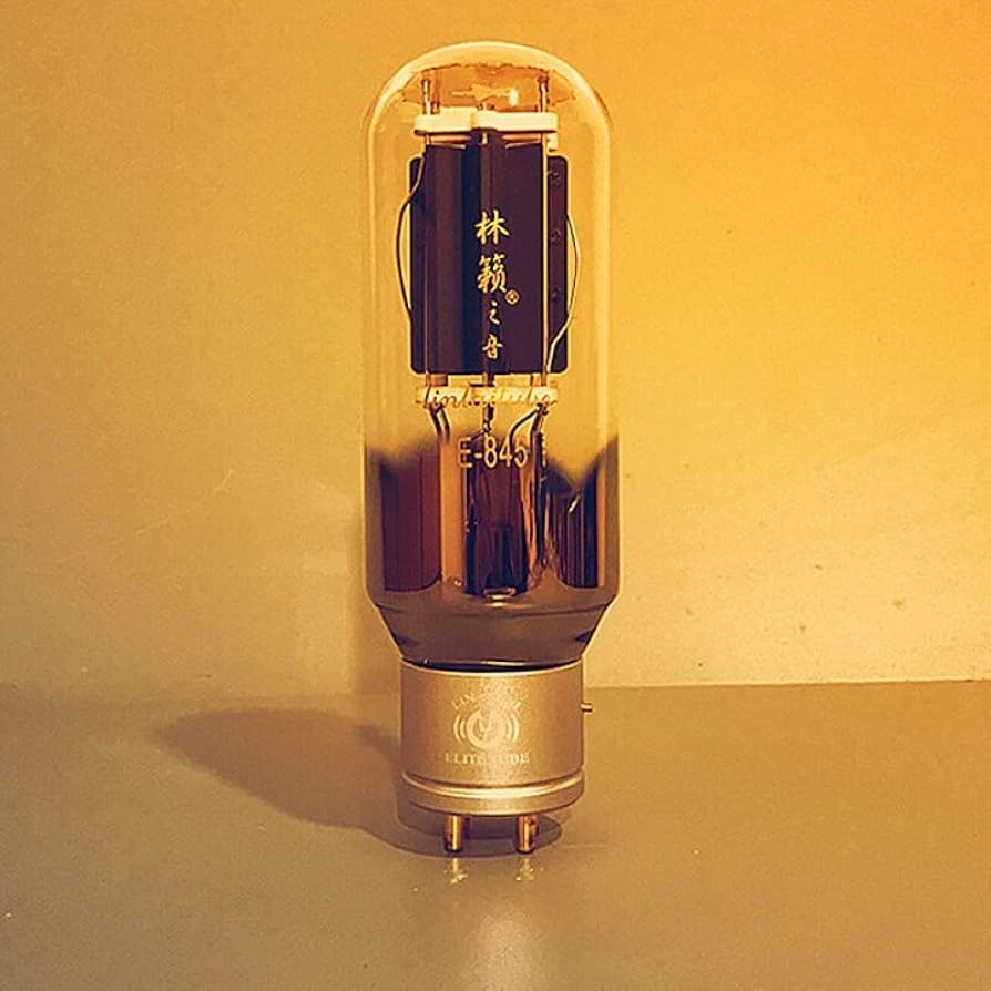 真空管　８４５　米国製 真空管 845 米国製 真空管 845 米国製 真空管 845 米国製 LINLAI ZX