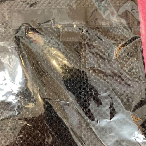 Lark Original Business Case2