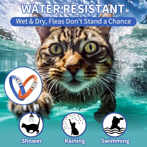 4 Pack Flea Collar for Cats, 32 Months Cat Flea and Tick Treatment, Flea and Tick Prevention for Cats, Waterproof Cat Flea Collar, Adjustable Cat Flea and Tick Collar for Cats Kittens, Blue & Orange - Thumbnail 4