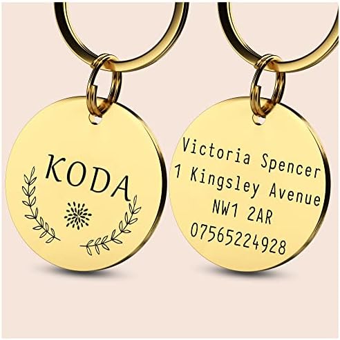 HappyPaws Pet ID Tag Engraved Name Identification Plate for Dogs, Personalized Dog Tag, Pet Accessories | Collar Tag for Cats and Dogs (3. Steel, Design 2)