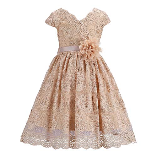 Bow Dream Lace Flower Girl Dress Country Daily Casual Party