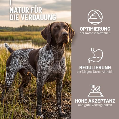 ReaVET Heilmoor für Hunde 1,3kg - Verbessert die Kotbeschaffenheit, Optimale Verdauung, Immunsystem, Magen-Darm-Aktivität, Appetit Anregung I Natürliche Heilerde Moor Hund