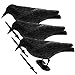 Produktbild CB Home & Style Taubenschreck 3er Pack Krähe Rabe Taubenabwehr Vogelschreck Lockvogel