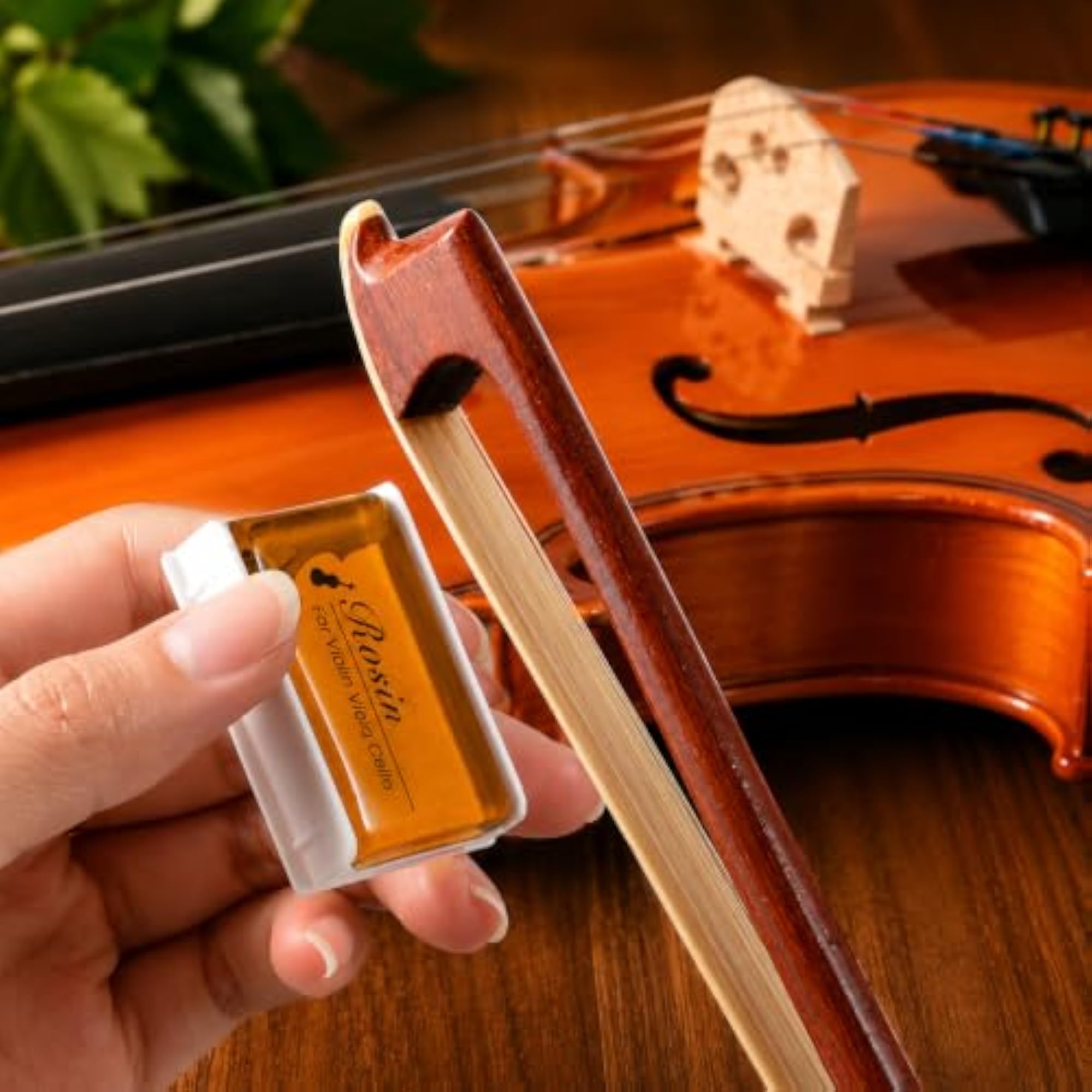 Violin Strings with Bow & Rosin Set