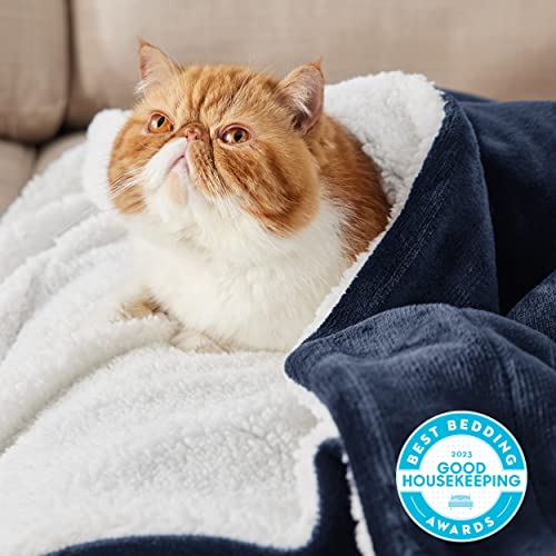 Bedsure BA523G1CL4QU Sherpa Fleece Blankets Queen Size thumb #1