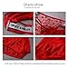 HAVBX Men's Sexy Lace Underwear Low Rise Bugle Pouch Bikini Briefs Sissy Lingerie (US, Alpha, One Size, Regular, Regular, Red)