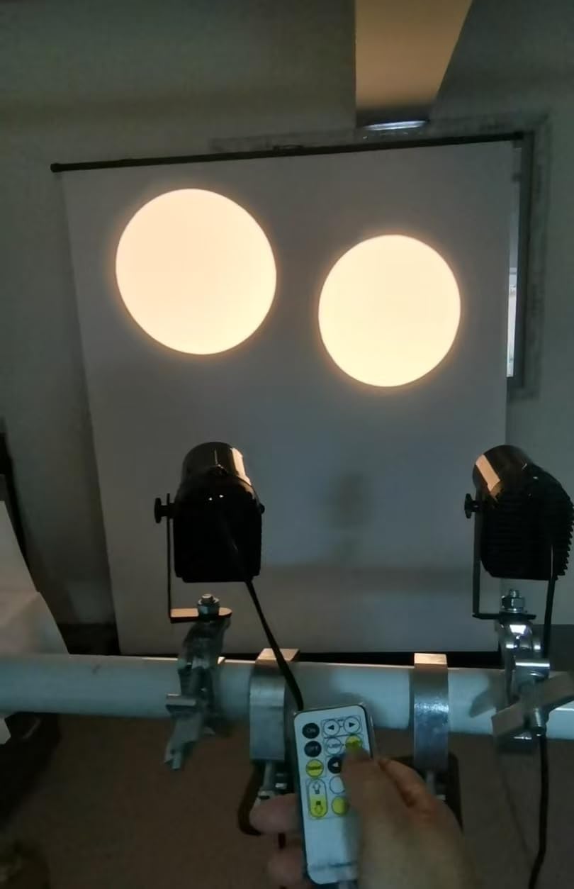 PinSpot-Light, SENLAN 12 W, doppio bianco/bianco freddo e bianco caldo, luce LED da discoteca per Mirro Ball, PinSpot-DJ luci per palcoscenico con controller IR