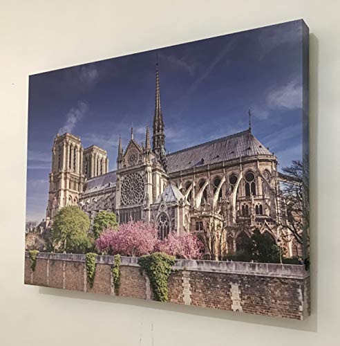 Tableau rétro-éclairé Notre Dame au Printemps 60x80cm - 4
