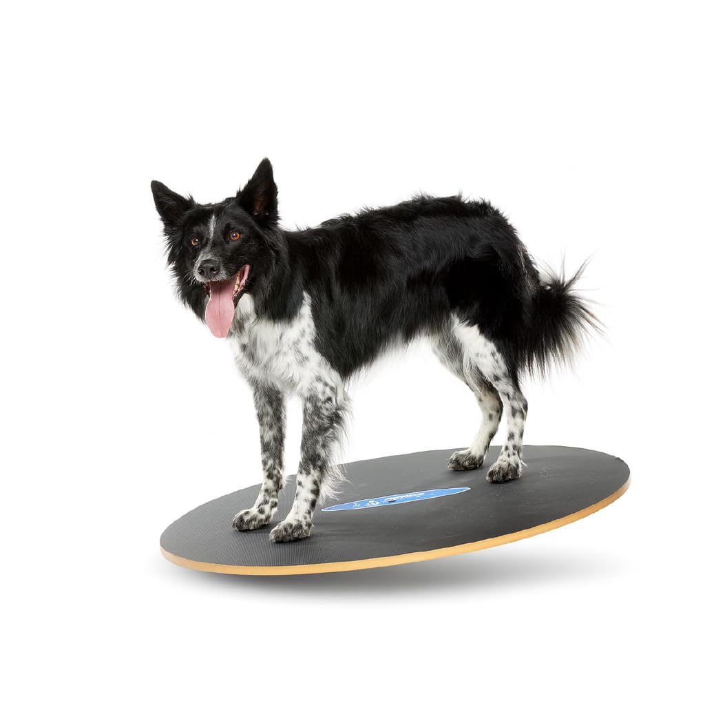 FitPaws Wobble Board - Dog Balance Training Equipment for Core Strength & Stability Canine Fitness & Rehabilitation Tool