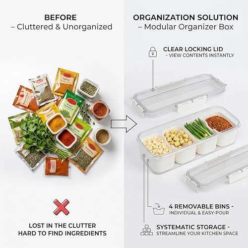 Image of Divided Fridge Storage Boxes With Serving Veggie Tray with Lid and Handle, Fridge Organizer with Removable Compartment, Fridge Storage Containers (4 Grid Container)