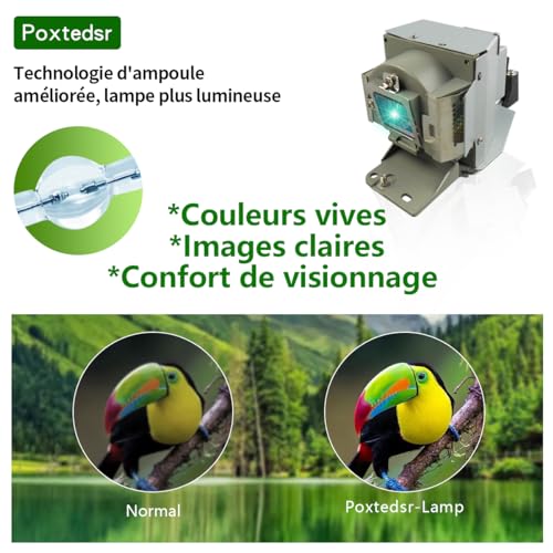 Poxtedsr Replacement Projector Lamp Bulb with Housing Compatible withVLT-EX240LP - Image 4