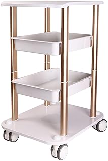 YIYIBYUS 4-Tier Beauty Salon Rolling Cart,Beauty Salon Tattoo Shop Barbershop SPA Trolley Storage Cart,Rolling Utility Cart for Beauty Salons, Barbershops, Studios, Spa Beauty Equipment