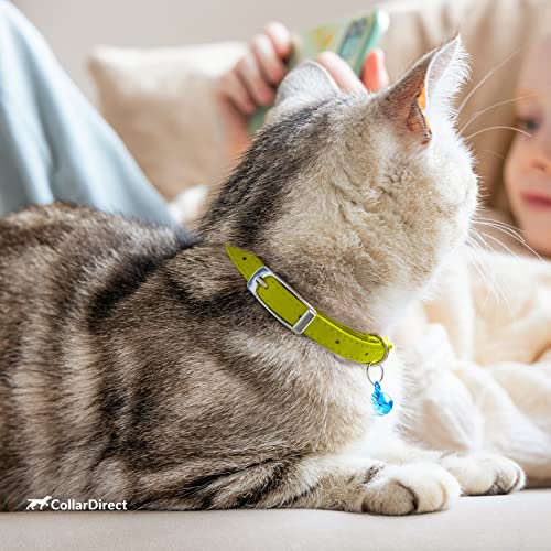 Collardirect Leather Cat Collar, Cat Safety Collar With Elastic Strap, Kitten Collar For Cat With Bell Black Blue Red Orange Lime Green (Neck Fit 6"-7", Lime Green) #TOP7