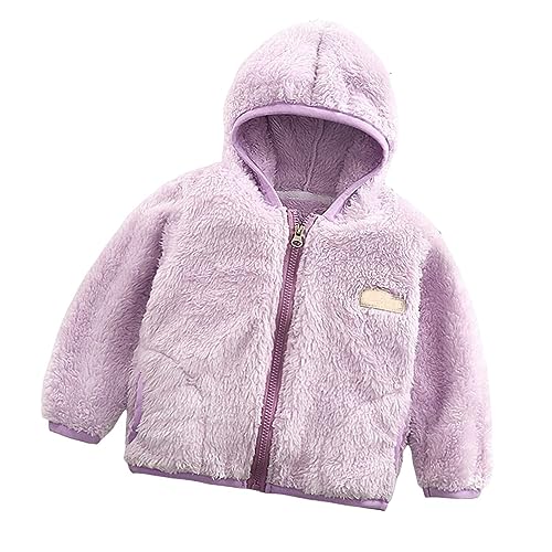 Toddler Dress Snowsuit 1 to 8 Years Children's Plush Coat Baby Coral Plush Hooded Thickened Boys And Girls' Zipper