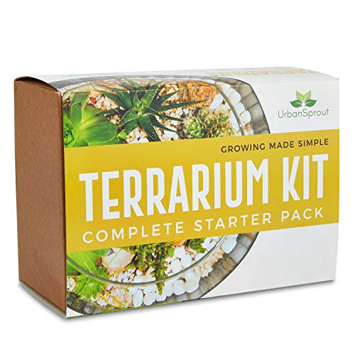 Kit de Terrario para Plantas Suculentas y Cactus Incluye Suelo de Cactus, Musgo, Grava y Guía Paso a Paso