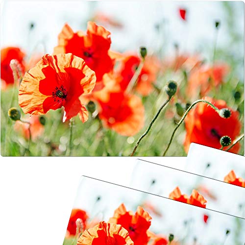 Lot de 4 sets de table lavables pour l'été - Sets de table coquelicots et prairie - 43 cm - Sets de table pour table à manger, salon, table