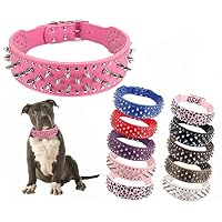 HOOT Hundehalsband Aus Kunstleder – Verstellbar, 5,1 Cm Breit, Mit Nieten, Größe L (53–61 Cm), Schwarz