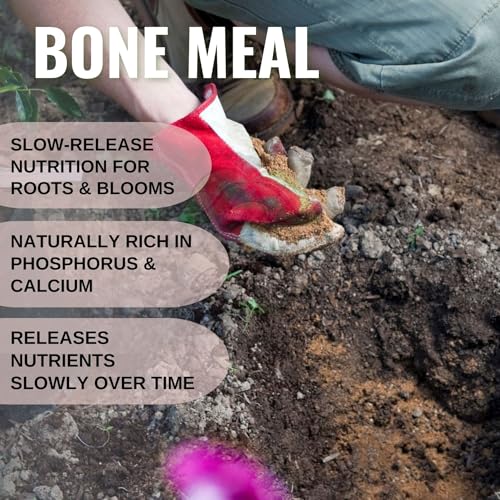 Image of Bone Meal Powder (5KG) Manure for Plants, 100% Organic &Natural, Calcium and Phosphorus, Slow Release, Steamed, Sterlised for Terrace, Balcony Garden (5 Kilogram)