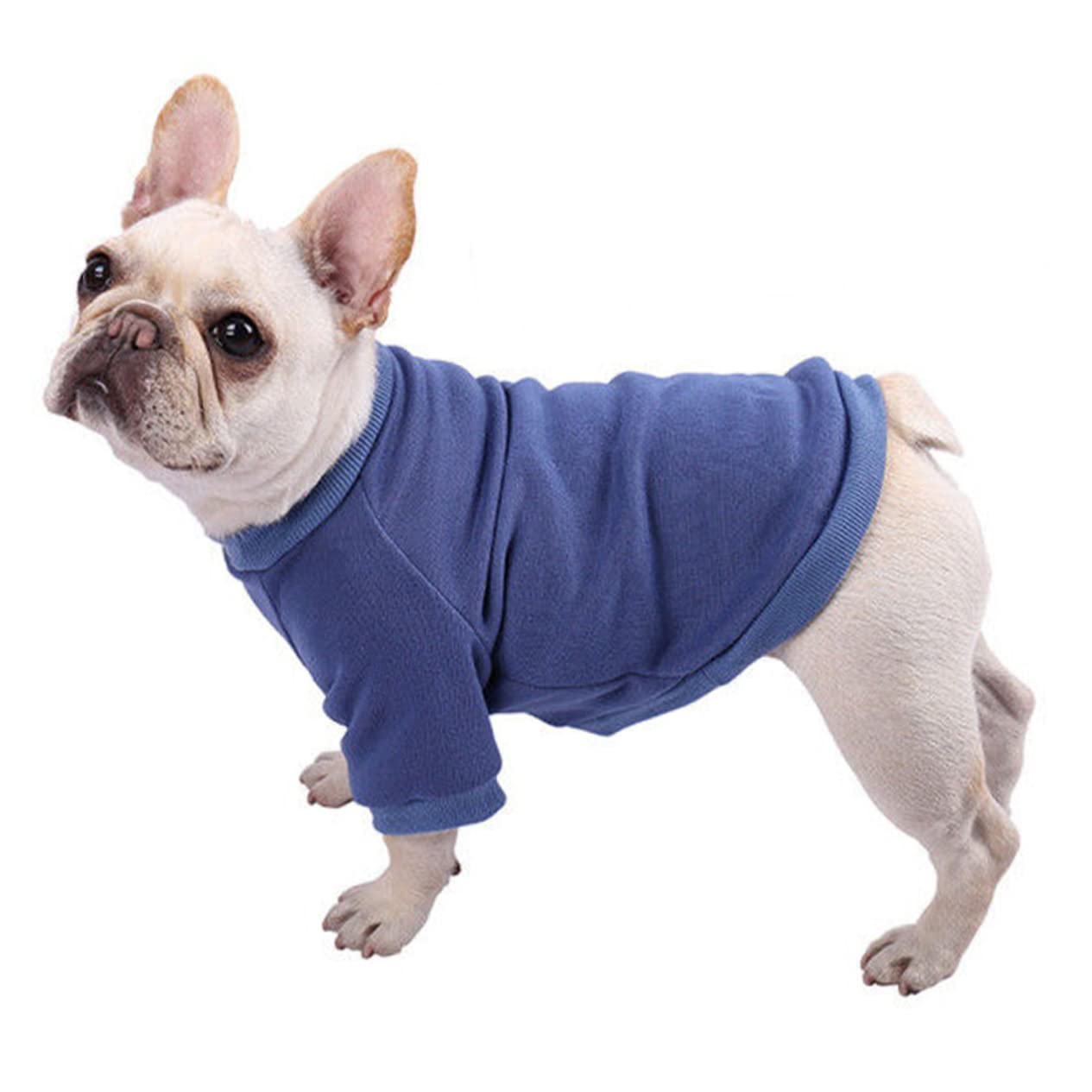 5 Pz Maglione Per Cani Felpe Con Cappuccio Per Ragazzi Cappotto Da Cucciolo Arredamento Coniglietto Caldo Maglione Per Gatti Giacche Da Ragazzo Natale Poliestere Animale Domestico