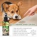 Fancy Pets Potty Training Spray for Dogs, Dog Deterrent Spray, Address Canine Inappropriate Elimination Habits for Indoor & Outdoor Environments, 120ml