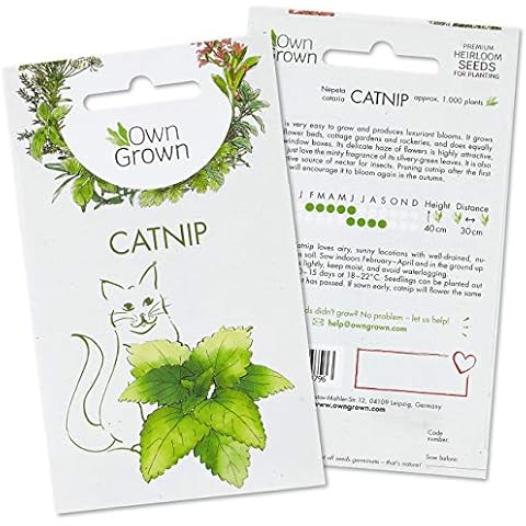 OwnGrown Catnip Seeds for Planting: Premium Cat Nip Seed to Grow ca. 1000 Catnip Plants for Garden - Herb Seeds for Outdoor Plants - Premium Herbs Plants Seeds - Perennial Plants Garden ready to sow Cover
