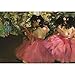 CafePress Dancers in Pink by Edgar Degas 8.5