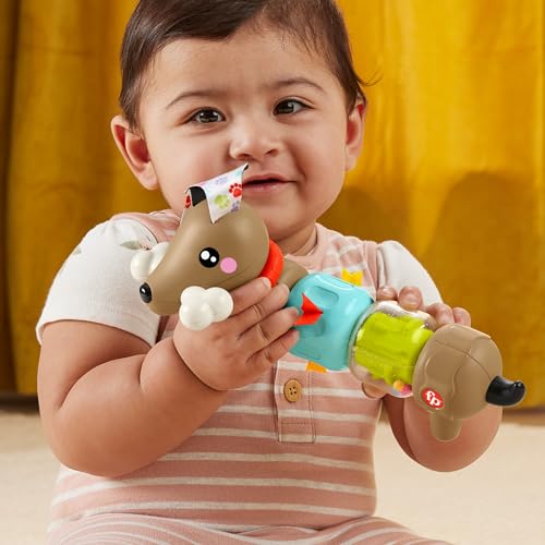 Fisher-Price Baby-Sensorikspielzeug FP Pets Klicken & Drehen Aktivitätshündchen mit feinmotorischen Aktivitäten für Babys ab 6 Monaten, HTW91