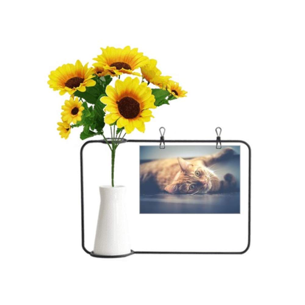 Carte bénédiction chat jaune pour remplacer les fleurs périssables par un souvenir éternel