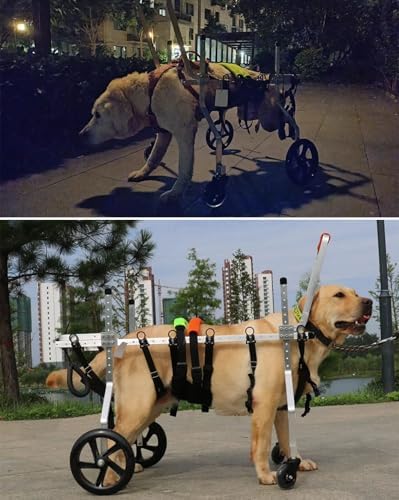 Silla de ruedas ajustable de aluminio para perros grandes con displasia de cadera, ayuda a la movilidad de mascotas soporta 15-60 kg, ideal para perros discapacitados, mejora la movilidad y la
