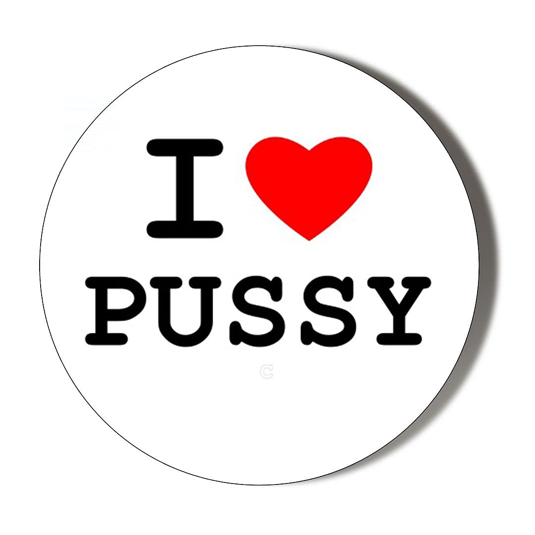 Gift Insanity Multi I Love My Pussy 10 X 56Mm Vinyl Stickers Pack Of 10