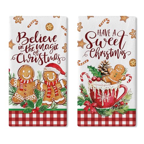 Croar Have A Sweet Christmas Gingerbread Man Kitchen Dish Towels Set of 2