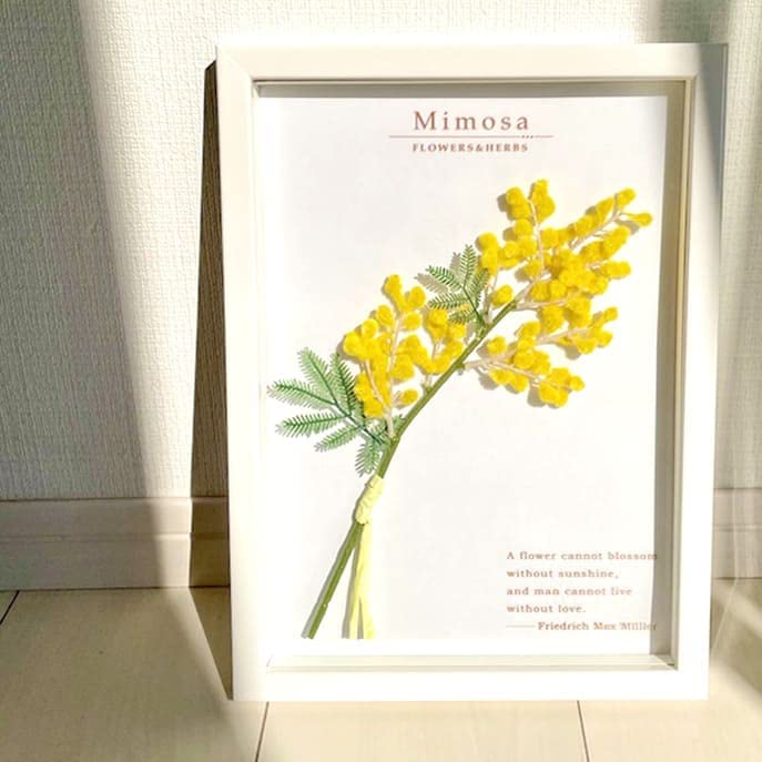 額絵　ミモザ　イタリア製 額絵 ミモザ イタリア製 楽天市場】ミモザ イタリア 額絵の通販