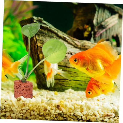 Base para tinaco de 450 litros 27 Imagen adicional