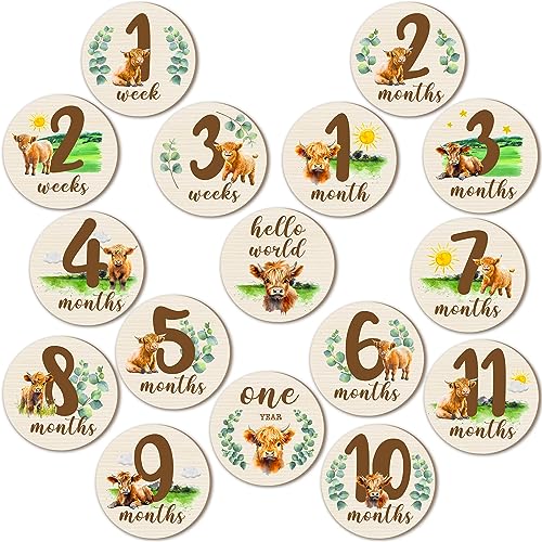 Image of Tiamon 16 Pieces Wooden Baby Monthly Milestone Cards Monthly Milestone Marker Discs Double Sided Wooden Circles Months Signs for Baby Shower Newborn Photo Props(Highland Cow)