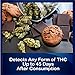 5 Pack - DrugExam Marijuana Test Dip Card. Cannabinoids Testing Test. Rapid Test Dip Cards.Individually Packed. Detailed Instructions Included. Easy to Use.
