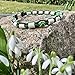 Pfoetchen-Welt Premium EM-Keramik Hundehalsband. Jetzt auch mit Namen. Menge an EM-Keramik wählbar. Infotelefon 017682042883