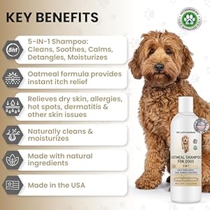 5-in-1-Premium-Oatmeal-Shampoo-for-Dogs-Gentle-for-Itchy-Sensitive-Skin-Provides-Itch-Relief-Hypoallergenic-Soothing-for-Dry-Skin-Moisturizing-Anti-Itch-Made-in-USA-16-oz-We-Love-Doodles - Cucciolini Doodles   5-in-1-Premium-Oatmeal-Shampoo-for-Dogs-Gentle-for-Itchy-Sensitive-Skin-Provides-Itch-Relief-Hypoallergenic-Soothing-for-Dry-Skin-Moisturizing-Anti-Itch-Made-in-USA-16-oz-We-Love-Doodles