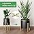 Plant Stand, Metal Plant Stand Adjustable Width 8-12 inches, Corner Plant Stand Mid Century Plant Holder for Indoor Outdoor Stable Display -1pack(Pot Not Included)