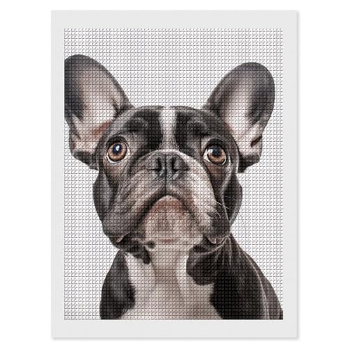 Peinture diamant 5D carree complete 30x40 cm avec outils pour adulte