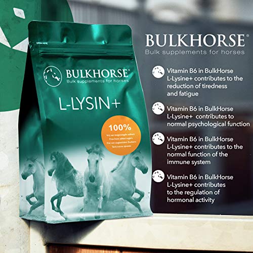 BulkHorse L-Lysine+ | PREMIUM KWALITEIT: voor het immuunsysteem en bij vermoeid van uw paard | 3000 g - Afbeelding 4