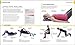 Foam Roller Exercises